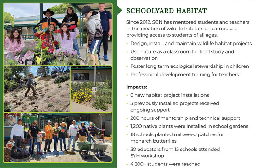 Schoolyard Garden Habitat